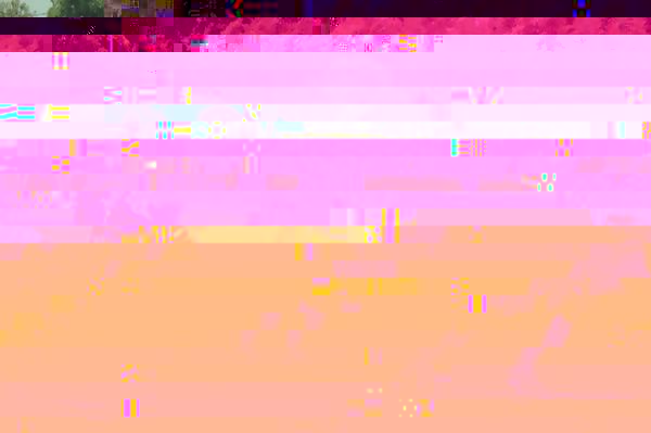 画像の説明